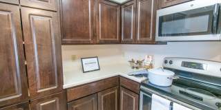 Adriana Court Gallery 19