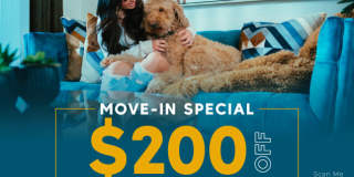 Maverick Gallery 285