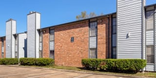 Driscoll Place Gallery 41