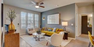 Springs at McKnight Lake Springs at McKnight Lake Gallery 6