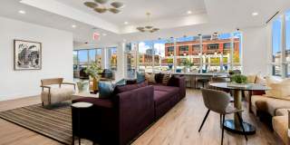 Arkadia West Loop Gallery 25