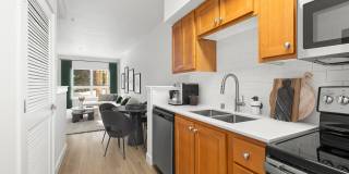 Dexter Lake Union Gallery 6