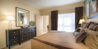 Odyssey Lake Apartments Gallery 32