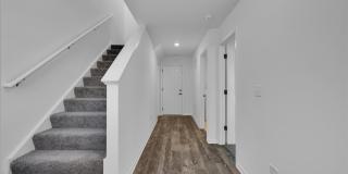 4303 Chelsea Manor Circle unit: 0 Gallery 4