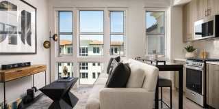 Springline Menlo Park Gallery 14