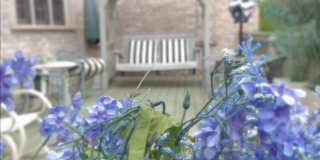 1289 BALLANTRAE FARM Drive Gallery 56
