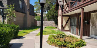 500 THUNDERBIRD Drive unit: 116 500 THUNDERBIRD Drive unit: 116 Gallery 2