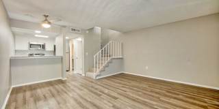 Buena Vista Gallery 2