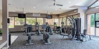 Laurel Valley Gallery 12