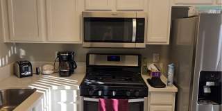 8536 Desert Holly Drive Gallery 18