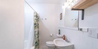 AUGUST PRE-LEASE! ADORABLE 3 bedroom! Gallery 26