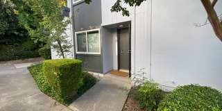 Spacious 3 Bedroom 2 Bathroom Condo Available October 1st Gallery 1