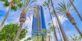 100 Harbor Drive Gallery 2