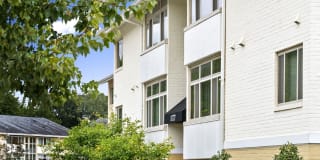 Evergreens at Laurel Gallery 12