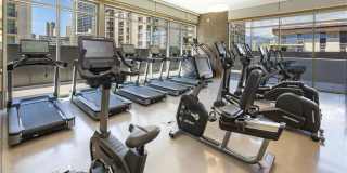 Lilia Waikiki Gallery 17