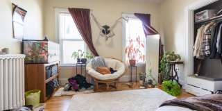 Renovated 5 Bed / 3 Bath in Brighton – 3 Parking Spots – W/D in Unit – 9/1 Gallery 9
