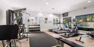 Avana Chestnut Hill Gallery 60