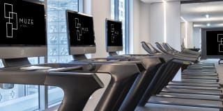 Muze At Met Gallery 11