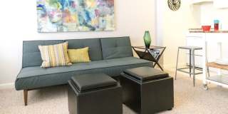 The Park Monroe Apartments Gallery 8