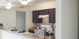 Biltmore Biltmore Gallery 23