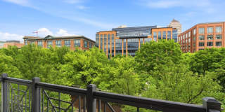 250 Daniel Burnham Square Gallery 14