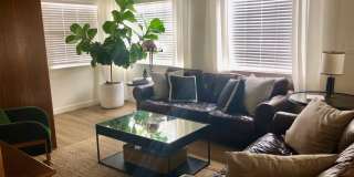 1344 Torrey Pines Rd Gallery 35