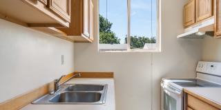 Dolphin Apartments Gallery 6