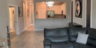 10360 Prato Drive Gallery 14