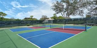 712 WHITE PINE TREE ROAD Gallery 49