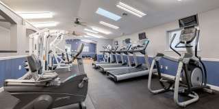 Renaissance Club Gallery 17