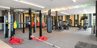 The Laura Gallery 27