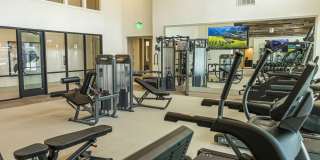 Aspire at Sherman Gallery 10