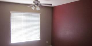 221 Ali Court Gallery 1