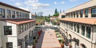 Springline Menlo Park Gallery 32