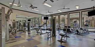 Broadleaf Apartments Gallery 22