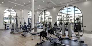 Vineyards Gallery 69