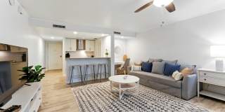 658 SUMMER Place Gallery 9