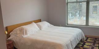 Settlement Place Gallery 174