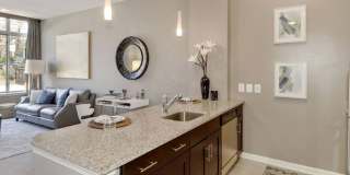 The Fitzgerald Gallery 6