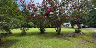 Tranquil Home near Jordan Lake! Gallery 1