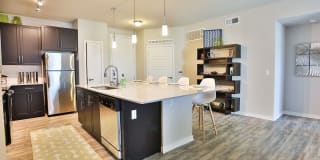 Olympus Steelyard Gallery 2