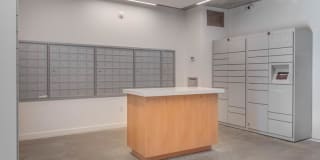 The Morton Gallery 29
