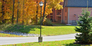 Pinewood Creek Gallery 6