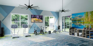 The Hills Gallery 14