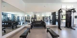 Madison Shores Gallery 20