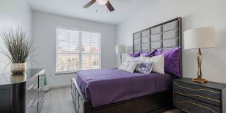 Auxo at Memorial Gallery 11