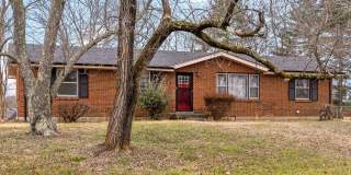 3 Bedroom 1 1/2 Bath Home For Rent Near Madison Street! Gallery 3