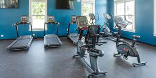 Killarney Woods Gallery 15