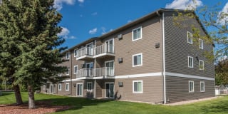 Prairie Tree Gallery 7