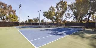 The Aspen South Coast Gallery 33